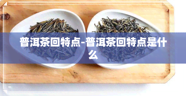 普洱茶回特点-普洱茶回特点是什么