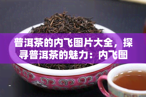 普洱茶的内飞图片大全，探寻普洱茶的魅力：内飞图片大全一览无余