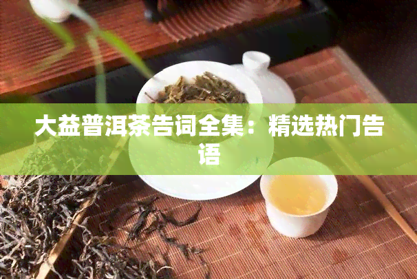 大益普洱茶告词全集：精选热门告语