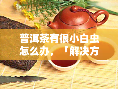 普洱茶有很小白虫怎么办，「解决方法」普洱茶中有小白虫，该如何处理？