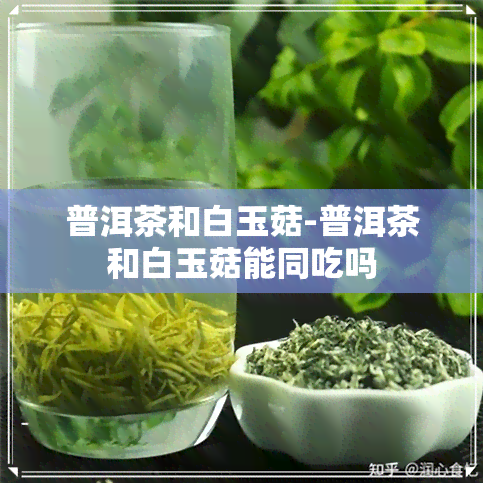 普洱茶和白玉菇-普洱茶和白玉菇能同吃吗