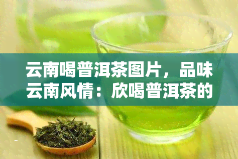 云南喝普洱茶图片，品味云南风情：欣喝普洱茶的美丽瞬间