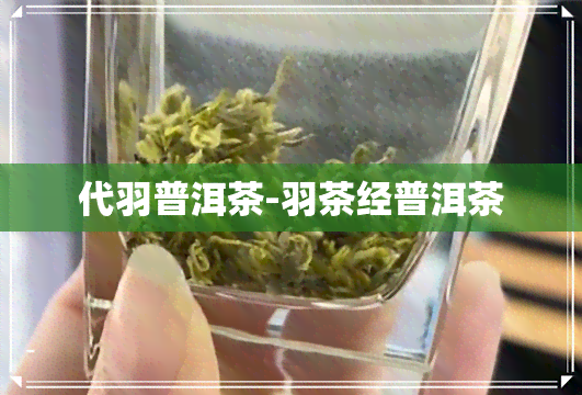 代羽普洱茶-羽茶经普洱茶