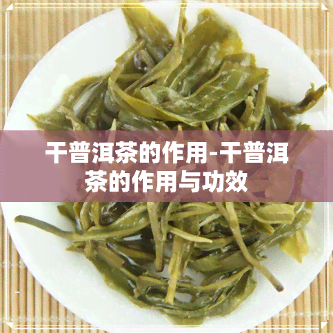 干普洱茶的作用-干普洱茶的作用与功效