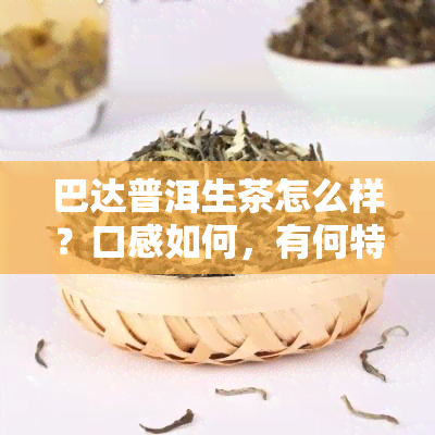 巴达普洱生茶怎么样？口感如何，有何特点？