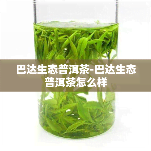 巴达生态普洱茶-巴达生态普洱茶怎么样