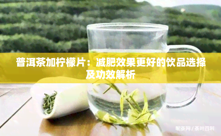 普洱茶加柠檬片：减肥效果更好的饮品选择及功效解析