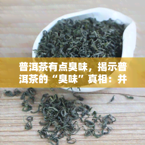 普洱茶有点臭味，揭示普洱茶的“臭味”真相：并非所有都不可接受