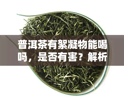 普洱茶有絮凝物能喝吗，是否有害？解析普洱茶中的絮凝物是否可以饮用