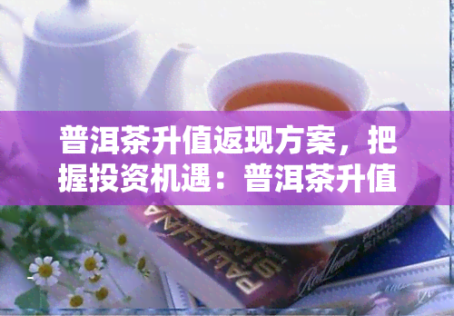 普洱茶升值返现方案，把握投资机遇：普洱茶升值返现方案详解