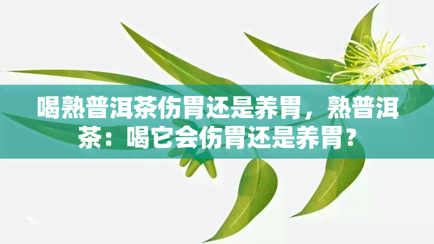 喝熟普洱茶伤胃还是养胃，熟普洱茶：喝它会伤胃还是养胃？