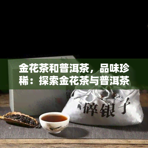 金花茶和普洱茶，品味珍稀：探索金花茶与普洱茶的魅力