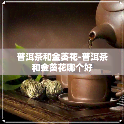 普洱茶和金葵花-普洱茶和金葵花哪个好