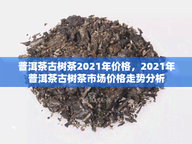 普洱茶古树茶2021年价格，2021年普洱茶古树茶市场价格走势分析