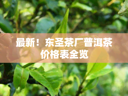 最新！东圣茶厂普洱茶价格表全览