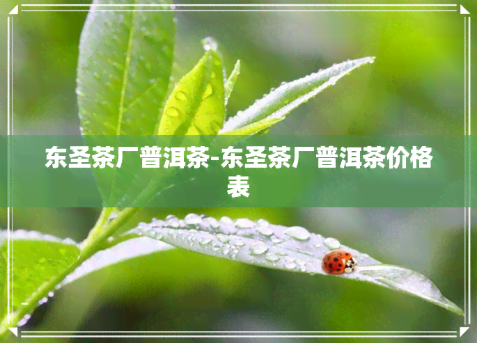 东圣茶厂普洱茶-东圣茶厂普洱茶价格表