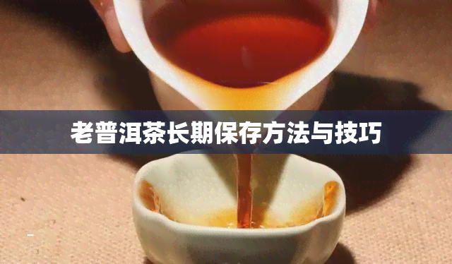 老普洱茶长期保存方法与技巧