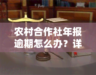 农村合作社年报逾期怎么办？详细办理流程及所需手续