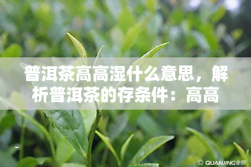 普洱茶高高湿什么意思，解析普洱茶的存条件：高高湿有何含义？