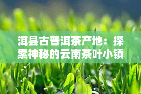 洱县古普洱茶产地：探索神秘的云南茶叶小镇