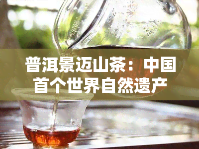 普洱景迈山茶：中国首个世界自然遗产茶林