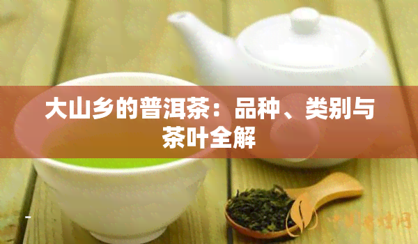 大山乡的普洱茶：品种、类别与茶叶全解