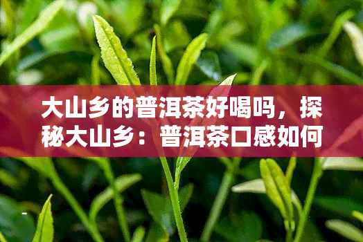 大山乡的普洱茶好喝吗，探秘大山乡：普洱茶口感如何？