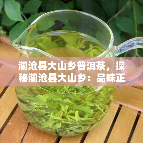 澜沧县大山乡普洱茶，探秘澜沧县大山乡：品味正宗普洱茶的韵味