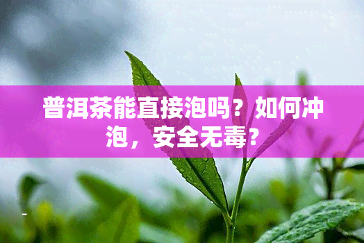 普洱茶能直接泡吗？如何冲泡，安全无？