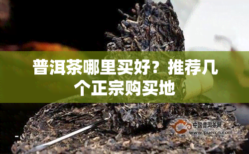 普洱茶哪里买好？推荐几个正宗购买地