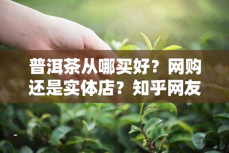 普洱茶从哪买好？网购还是实体店？知乎网友分享购买经验