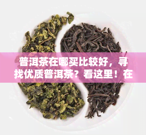 普洱茶在哪买比较好，寻找优质普洱茶？看这里！在哪里可以买到好喝的普洱茶？