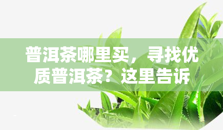 普洱茶哪里买，寻找优质普洱茶？这里告诉你哪里买最靠谱！