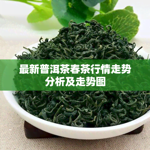 最新普洱茶春茶行情走势分析及走势图