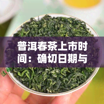 普洱春茶上市时间：确切日期与时间表