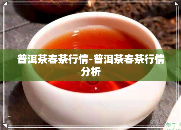 普洱茶春茶行情-普洱茶春茶行情分析