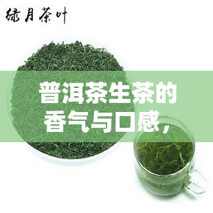 普洱茶生茶的香气与口感，探索普洱茶生茶的独特香气与口感