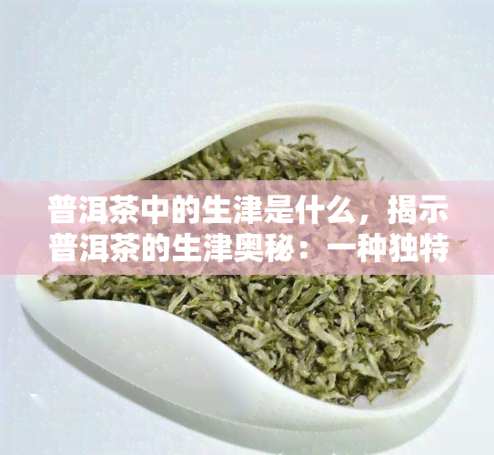 普洱茶中的生津是什么，揭示普洱茶的生津奥秘：一种独特的口感体验