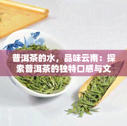 普洱茶的水，品味云南：探索普洱茶的独特口感与文化价值