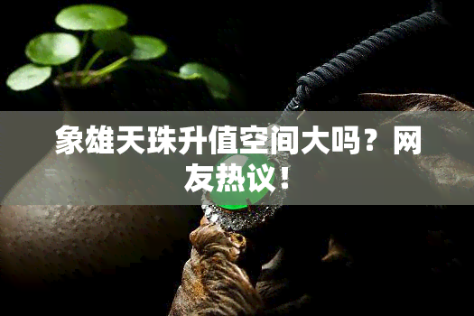 象雄天珠升值空间大吗？网友热议！