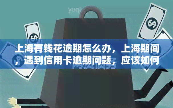 上海有钱花逾期怎么办，上海期间，遇到信用卡逾期问题，应该如何处理？