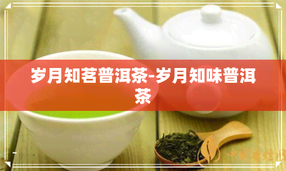 岁月知茗普洱茶-岁月知味普洱茶