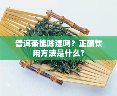 普洱茶能除湿吗？正确饮用方法是什么？