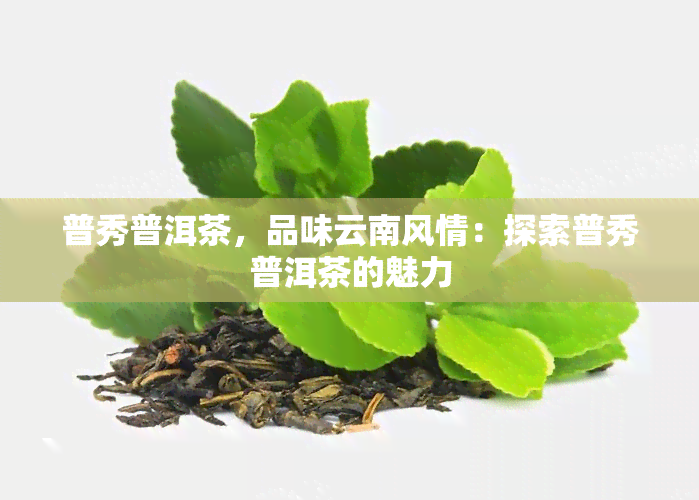 普秀普洱茶，品味云南风情：探索普秀普洱茶的魅力