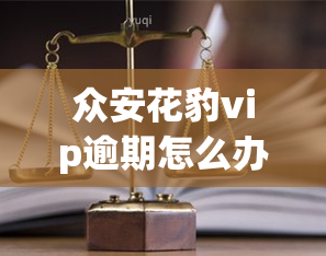 众安花豹vip逾期怎么办，如何处理众安花豹VIP逾期？