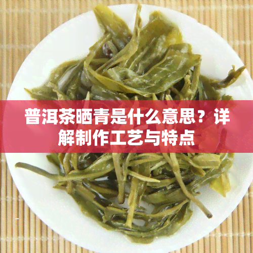 普洱茶晒青是什么意思？详解制作工艺与特点