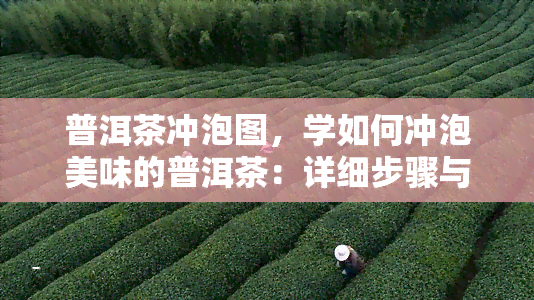 普洱茶冲泡图，学如何冲泡美味的普洱茶：详细步骤与图片指南