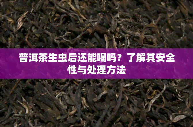 普洱茶生虫后还能喝吗？了解其安全性与处理方法