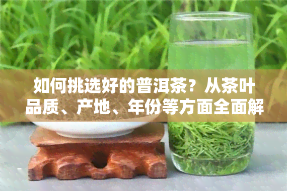 如何挑选好的普洱茶？从茶叶品质、产地、年份等方面全面解析