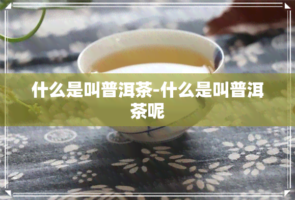 什么是叫普洱茶-什么是叫普洱茶呢